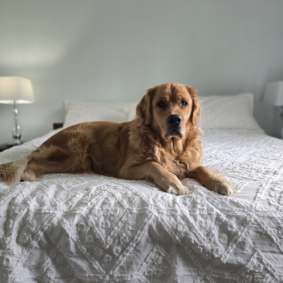 mamajposher